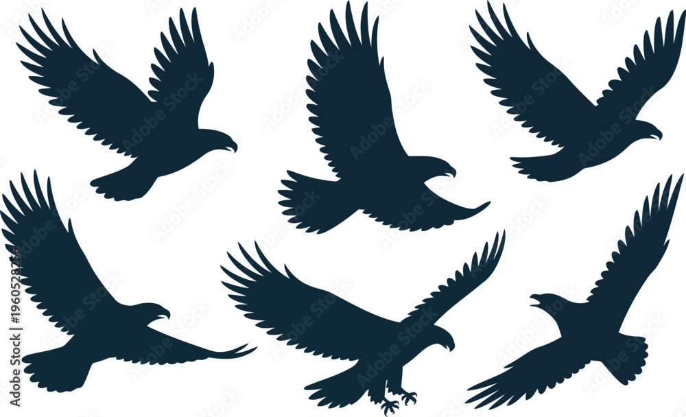 Fototapeta premium A collection of six soaring eagle bird silhouettes isolated on a clean white backdrop