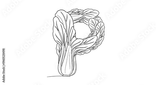 Stylized bok choy forms the letter P in a monochrome line art illustration for healthy eating