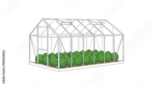 Transparent glass greenhouse building with rows of green shrubs growing inside for gardening and plant nursing.