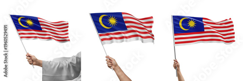 Canvas Print Hand holding Malaysia flag and waving national flag of Malaysia isolated on whit