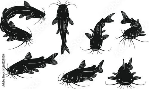 Black Catfish Silhouette Vector Illustration Set with Various Swimming Poses and Realistic Whiskers Isolated on White Background for Fishing Design