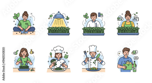 Step by step illustration set shows process of growing fresh microgreens and using them in healthy gourmet dishes.