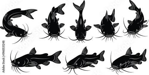 Vintage Black Silhouettes of Catfish in Various Poses Including Top Side and Curved Views for Fishing Design and Seafood Logo