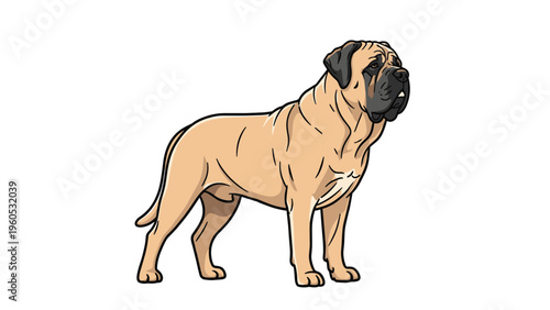 Powerful english mastiff dog standing in profile showing its large muscular build and calm alert expression characteristic of the breed.