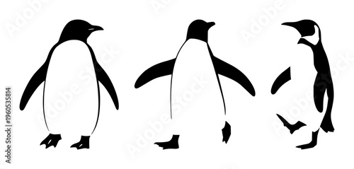 Penguin walking silhouette set with contrasting black outline against white background featuring penguin, walking, silhouette, wildlife with minimalism and illustration