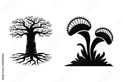 Bare tree with roots and venus flytrap plants with black and white