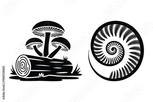 Mushrooms on log and ammonite fossil silhouette