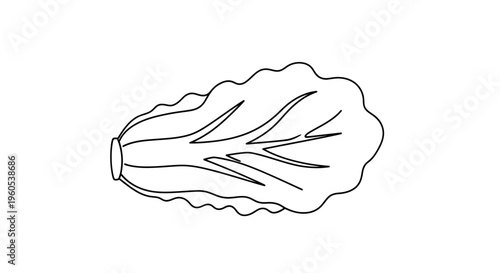 Minimalist outline illustration of a crisp green lettuce leaf, perfect for healthy food concepts