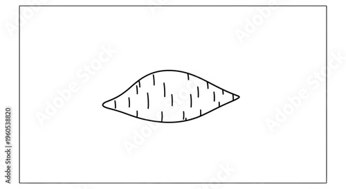 Simple black line art drawing of a common root vegetable, a sweet potato outline, isolated on