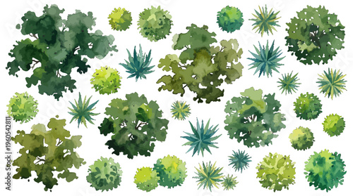 Watercolor Top Down Tree and Shrub Icons for Landscape Architecture Design Projects