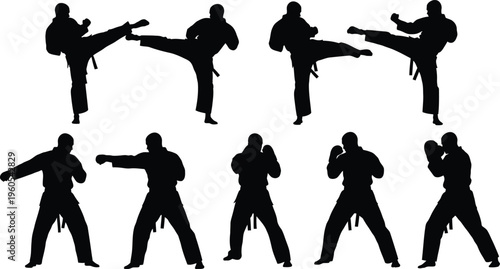 Martial arts silhouette illustrations
