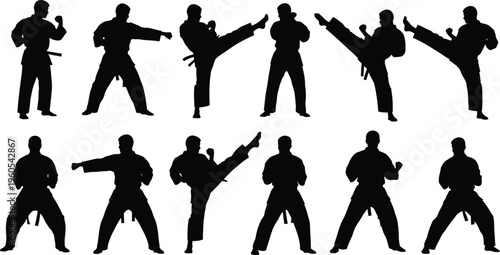 Martial arts silhouette postures