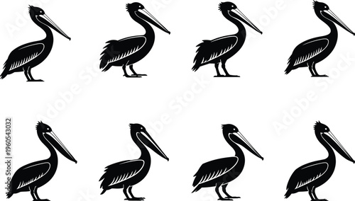 Black silhouette pelican bird icons set isolated on white background for nature logo design, nautical maritime graphics, aquatic wildlife illustration, and coastal decorative patterns.
