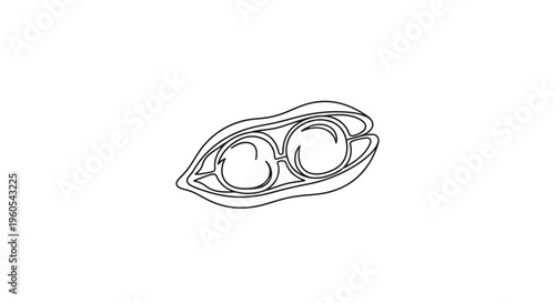 Minimalist continuous line art drawing of an open pea pod with two peas inside organic vegetable