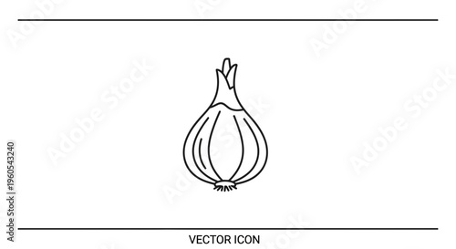 Outline drawing of a fresh shallot bulb, perfect for culinary and kitchen design projects
