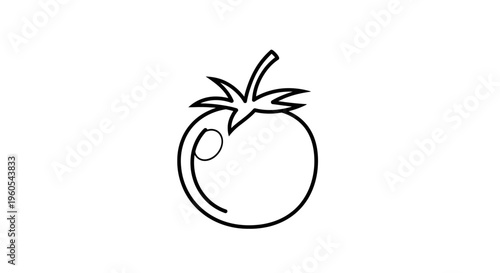 Minimalist line art illustration of a fresh tomato vegetable outline drawing for design