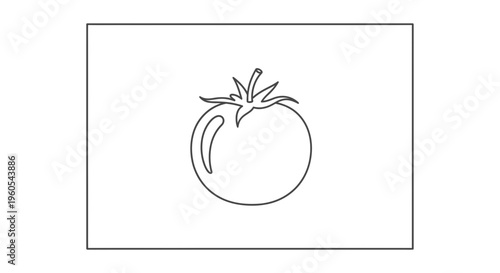 Elegant continuous line art illustration of a ripe garden tomato showcasing minimalist organic