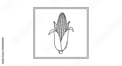 Minimalist black and white line art illustration of a ripe corn cob with husks in a square frame