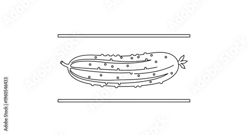Simple minimalist black line art illustration of a healthy organic green cucumber produce design