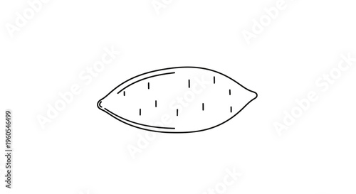 Stylized outline drawing of a sweet potato, perfect for healthy eating designs and educational