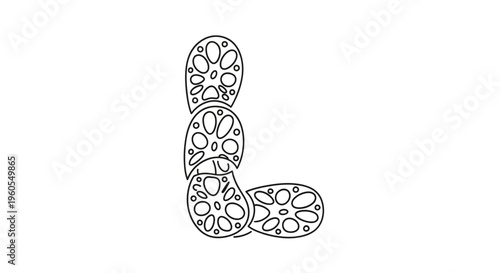 Stylized initial L composed of natural plant root sections outline artwork on a crisp white