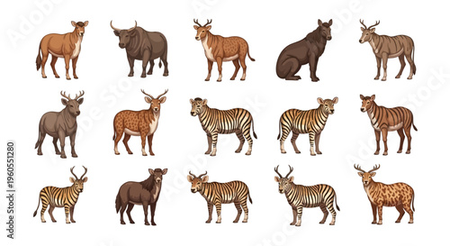 Various exotic animals are standing in rows on a plain background