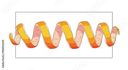 Citrus Peel Spiral: Fresh Orange Zest Twist for Cocktails and Garnish