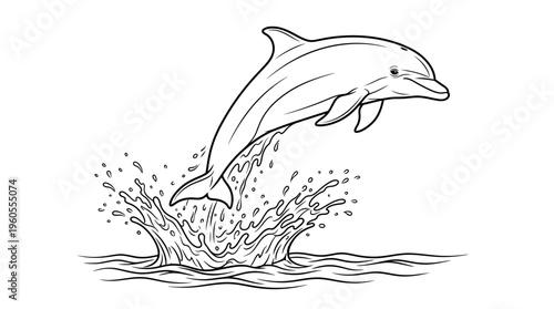 Dolphin jumping out of water.