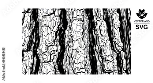 Close-up Black and White Texture of Rough Tree Bark