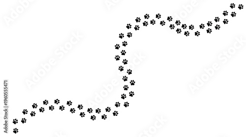 A winding trail of paw prints on a clean white background, symbolizing animal movement and nature
