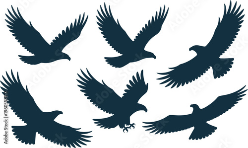 Group of six bold eagle bird silhouettes demonstrating different flight patterns against a clear white