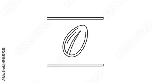 Almond Seed Icon, Healthy Food Symbol, Simple Line Art, Nutrition Concept
