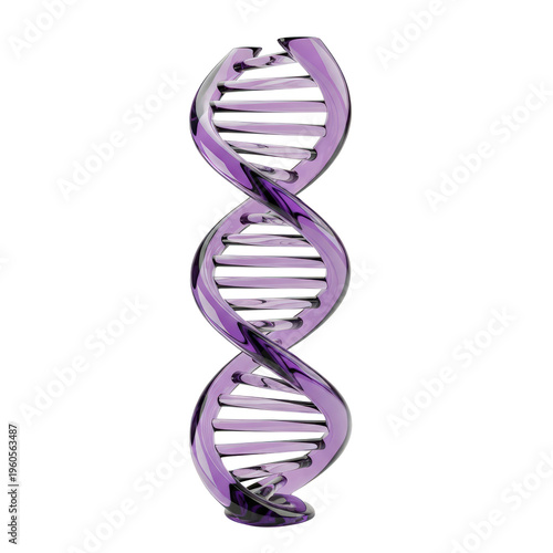 Purple DNA Double Helix Structure Isolated on Transparent Background Scientific Research Medical Genetics Concept