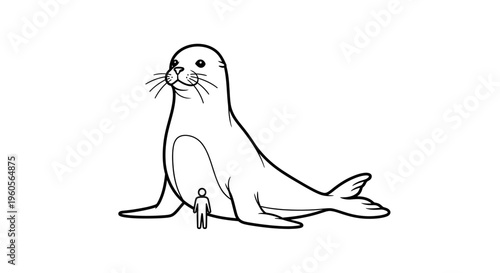 Minimalist black and white illustration of a marine seal with a human figure indicating true scale