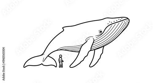 Immense marine giant and human scale comparison depicting a whale's majestic size