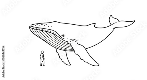 Perspective on the gigantic proportions of a whale relative to an average person