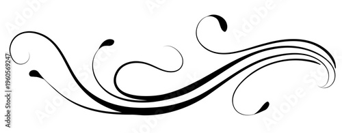 Wave floral ornament with leaves and abstract lines. Text divider. Decorative element for decor and text greeting or invitation card design.