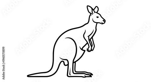 Kangaroo Standing with Joey in Pouch.