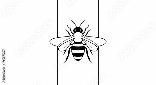 Minimalist black and white line art illustration of a honeybee centered on a clean white background