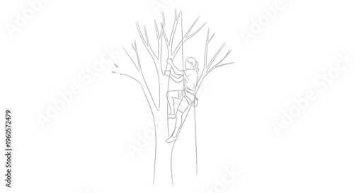 Outline drawing depicting a skilled arborist ascending a tall tree with ropes and harness equipment