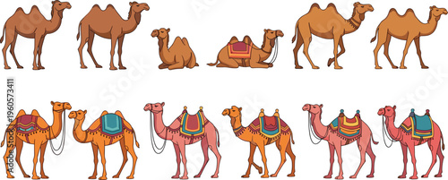 Camel collection with different poses and decorative saddles desert animals caravan cartoon vector illustration set