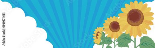 Summer background with sunflowers and blue sky with cumulus clouds.