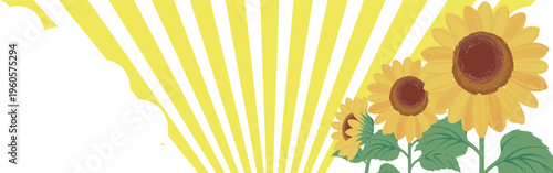 Summer background with sunflowers and blue sky with cumulus clouds.