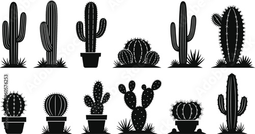 Set of Black Cactus Silhouette Icons Featuring Various Desert Plant Shapes and Potted Cacti Isolated on White for Nature and Decoration