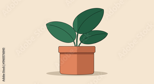 Potted Plant with Green Leaves.
