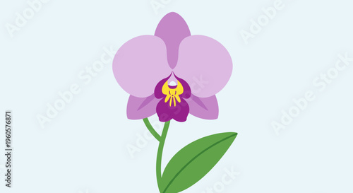 Purple Orchid Flower Illustration.