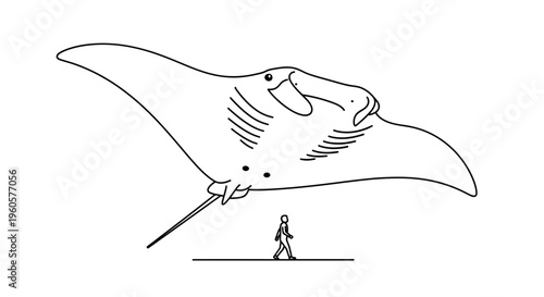 Striking black and white line art depicting the immense scale of a manta ray beside a walking person