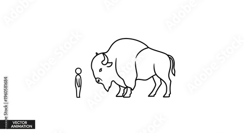 Clean line art comparing the massive presence of a wild bison with a human figure, demonstrating