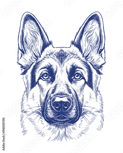 German Shepherd dog illustration, artistic style, blue monochrome