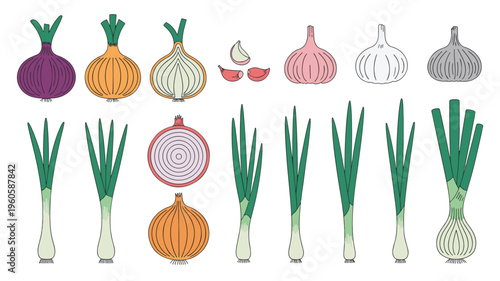 Colorful onion varieties set flat and line art green onion vegetable icons